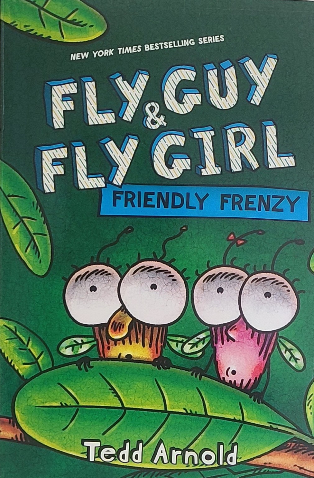 Fly Guy and Fly Girl: Friendly Frenzy 책 표지
