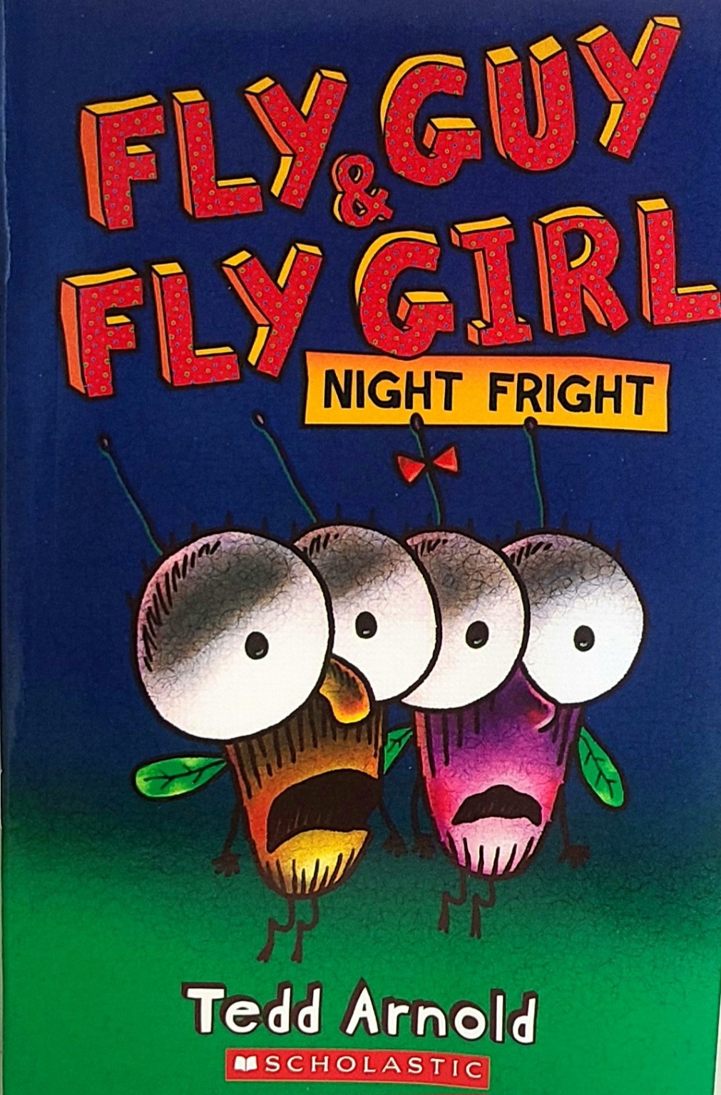 Fly Guy and Fly Girl: Night Fright 책 표지