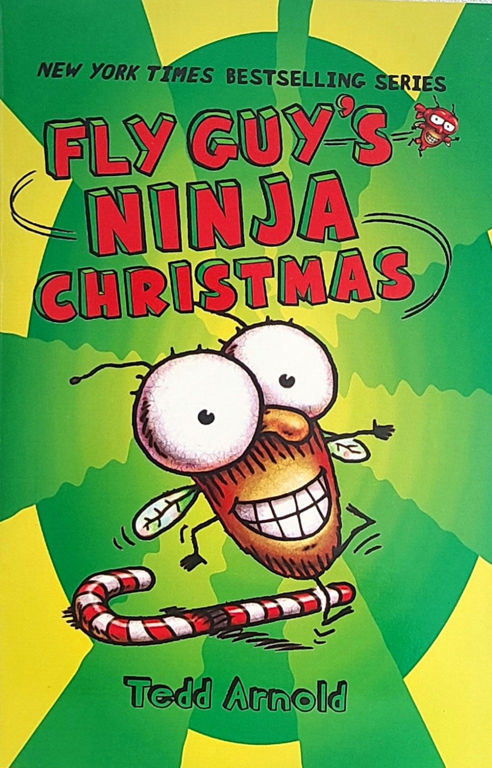 Fly Guy’s Ninja Christmas 책 표지