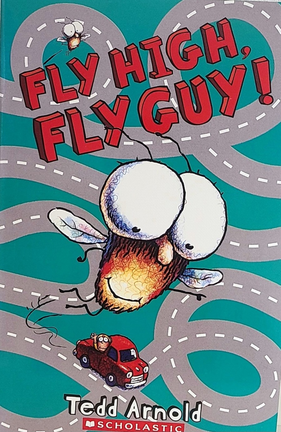 Fly High, Fly Guy! 책 표지