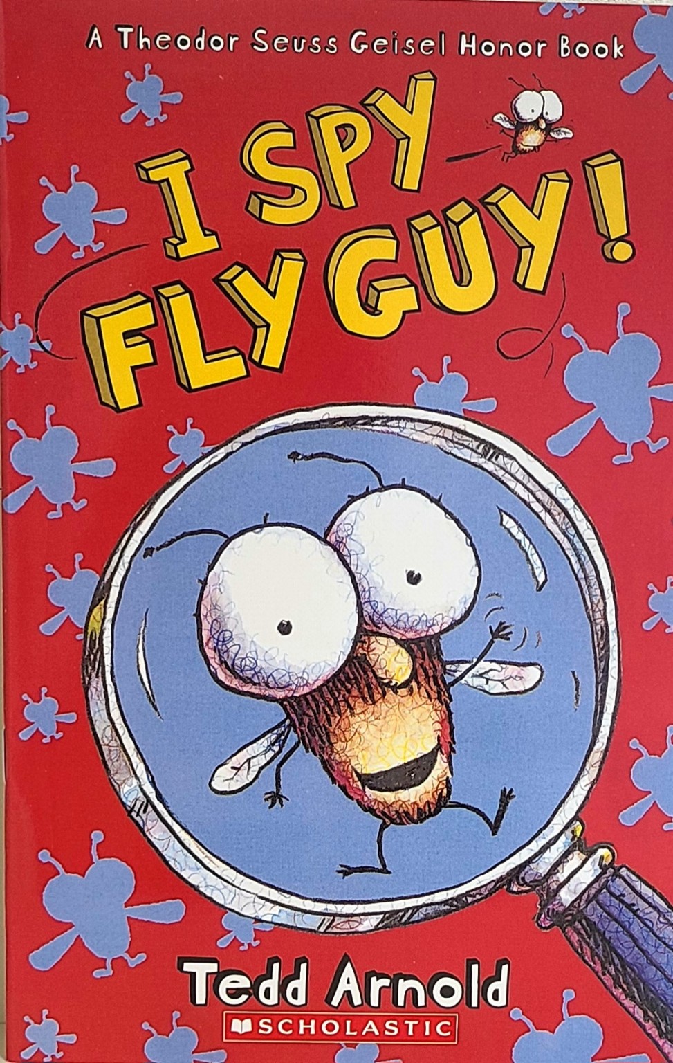 I Spy Fly Guy! 책 표지