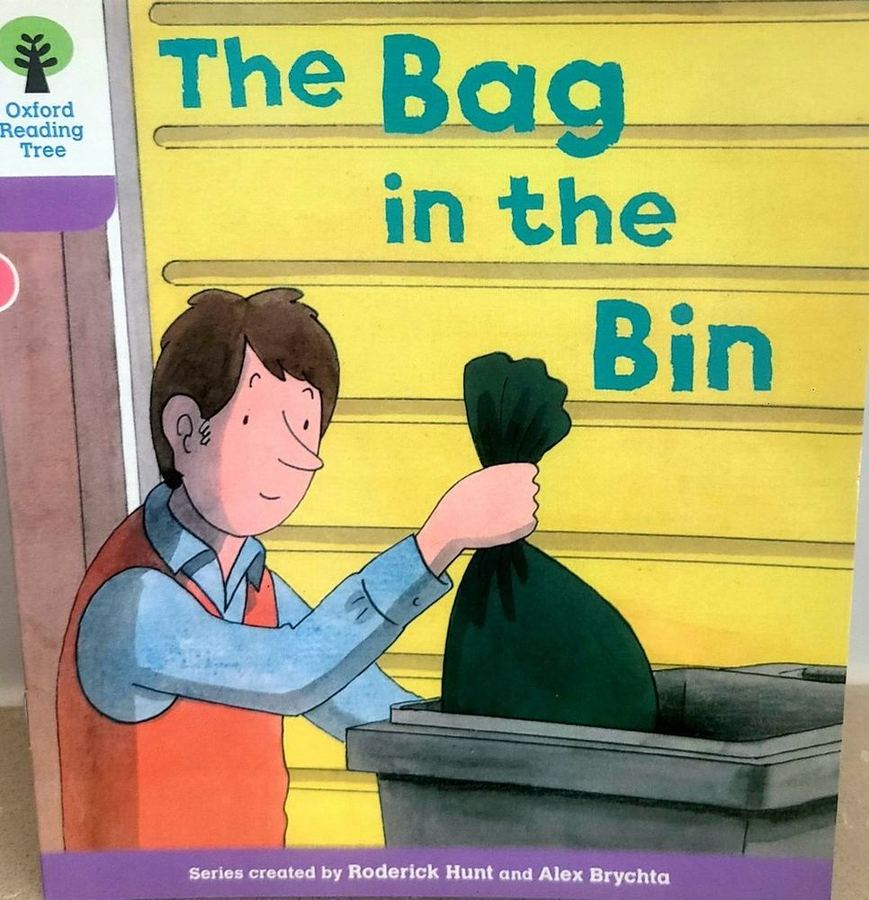 The Bag in the Bin 표지