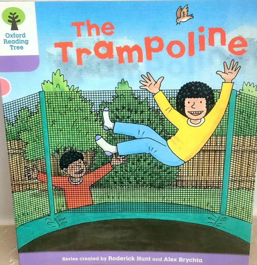 The Trampoline 표지