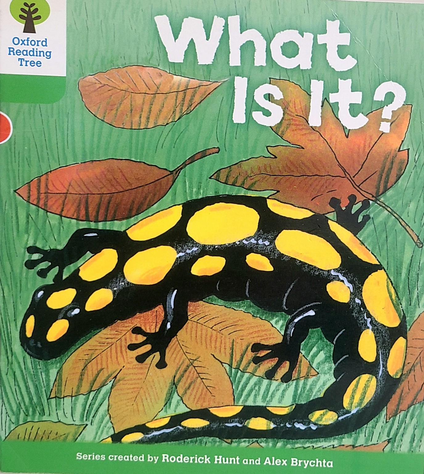 What Is It? 표지