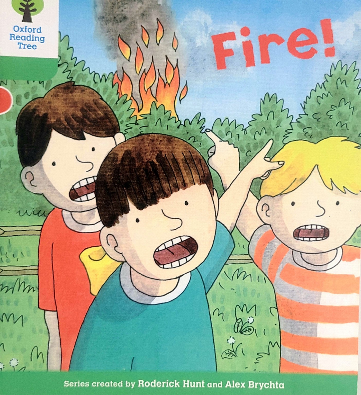 Fire 표지