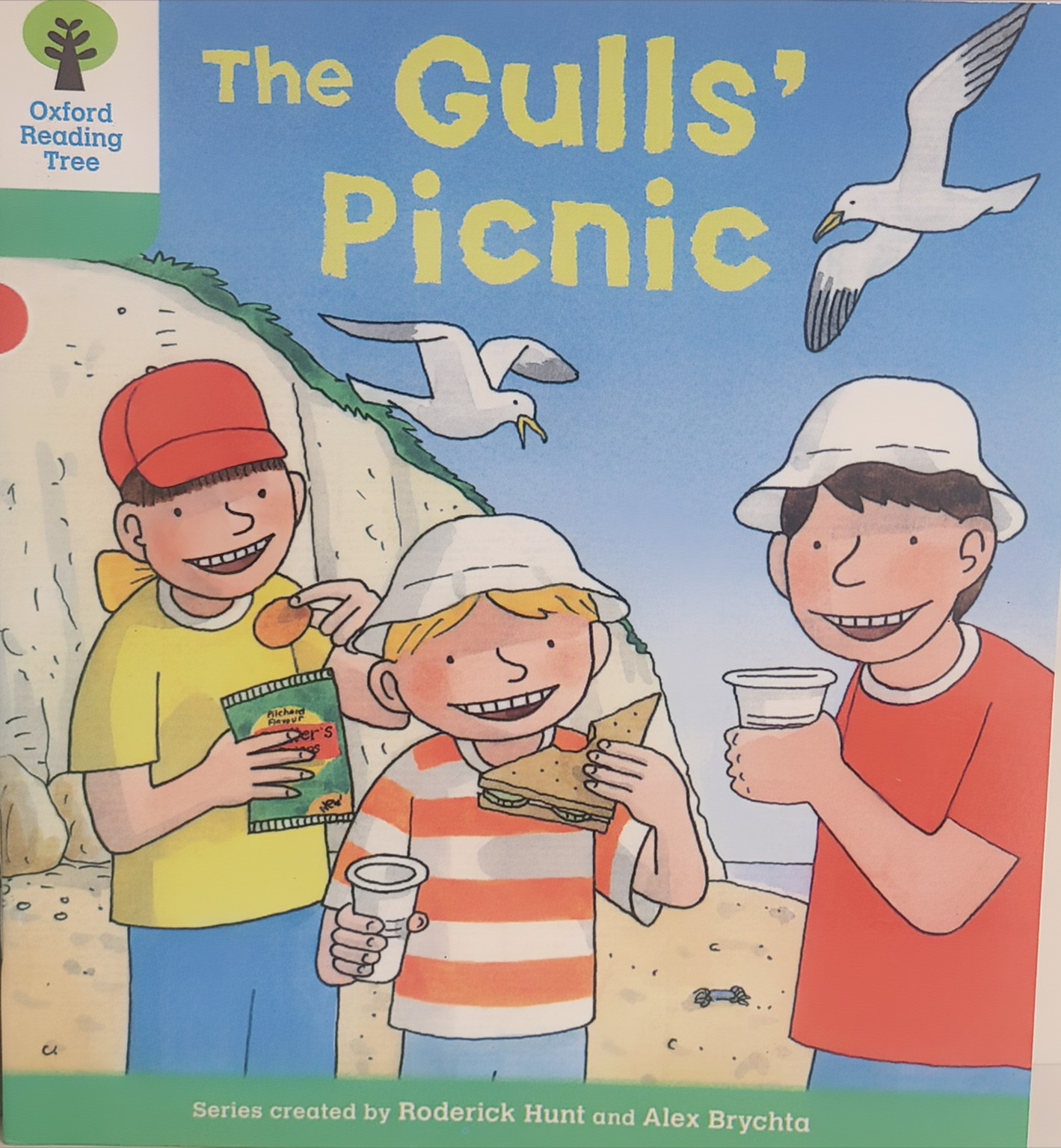 The Gull's Picnic 표지