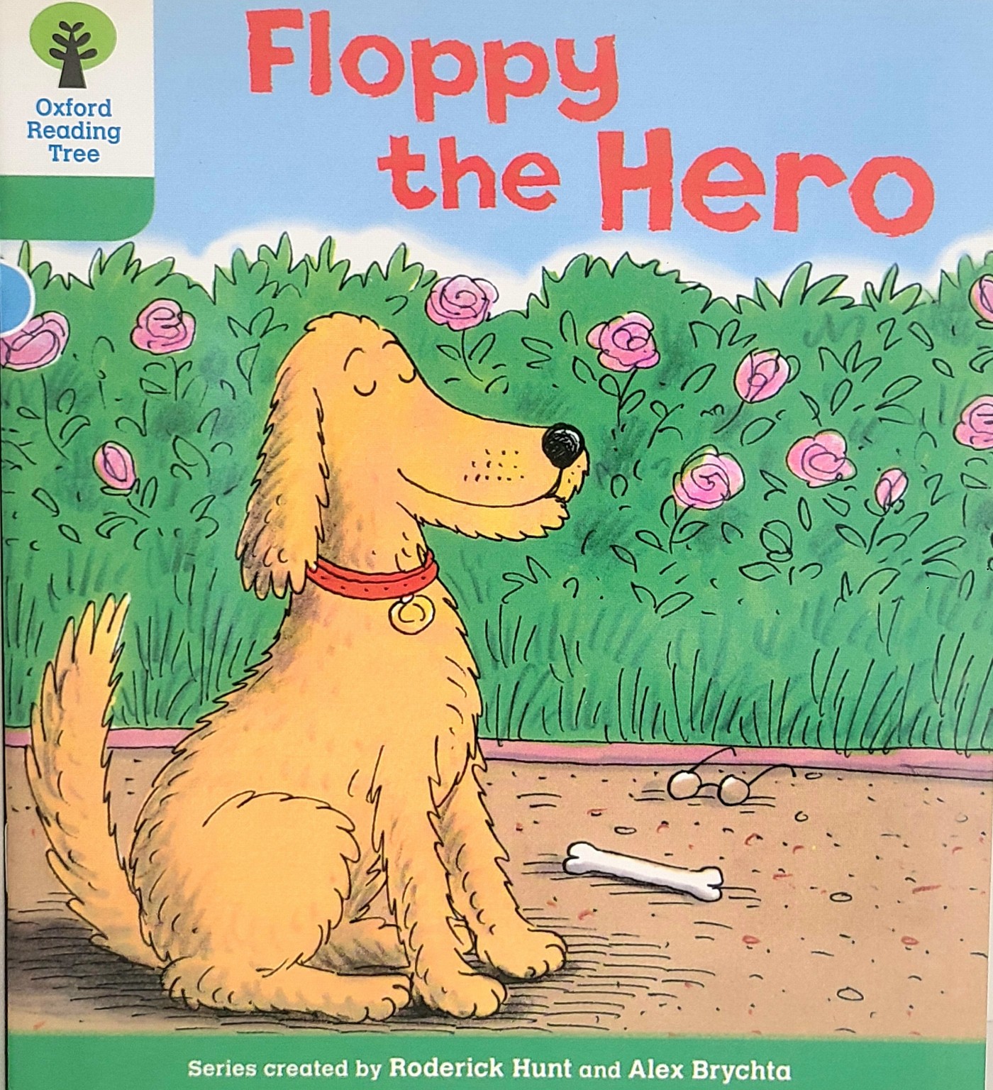 Floppy the Hero 표지