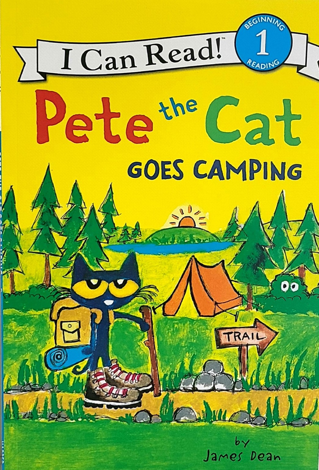 Pete the Cat Goes Camping 표지